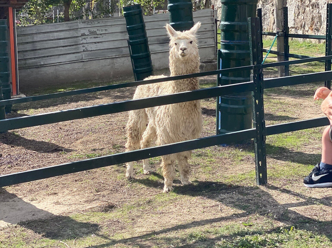 Quinta Pedagógica Quinta das Manas-吉马良斯必去景点