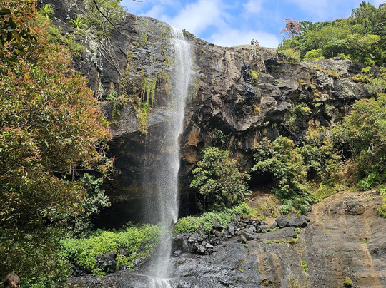 Taxi Ile Maurice Arvin-红地必去景点