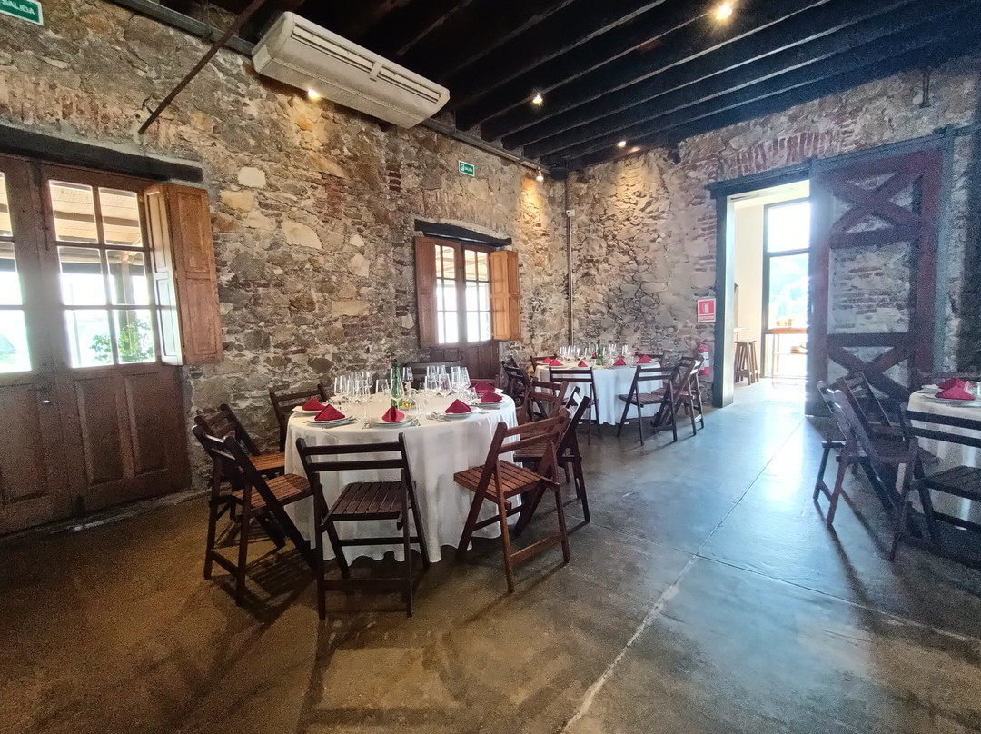 Varela Zarranz Winery-Canelones必去景点