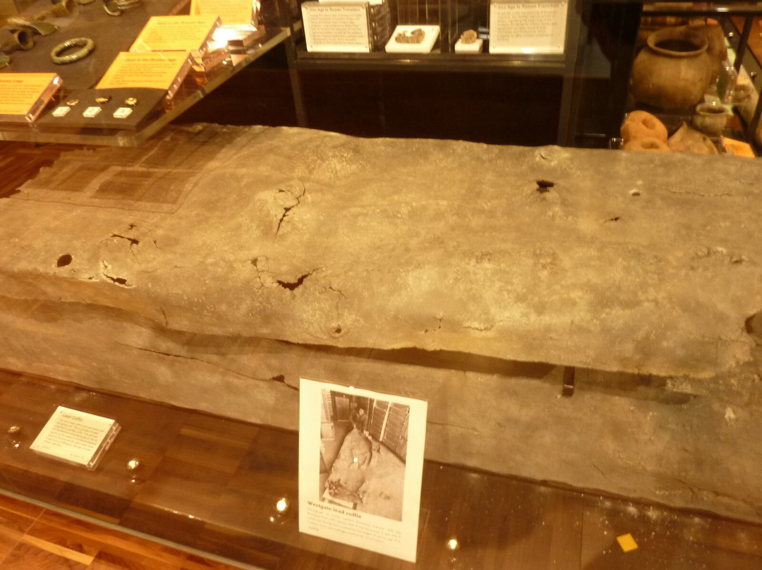 The Novium Museum-奇切斯特必去景点