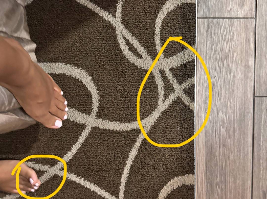 Crowne Plaza Kitchener-Waterloo by IHG主图