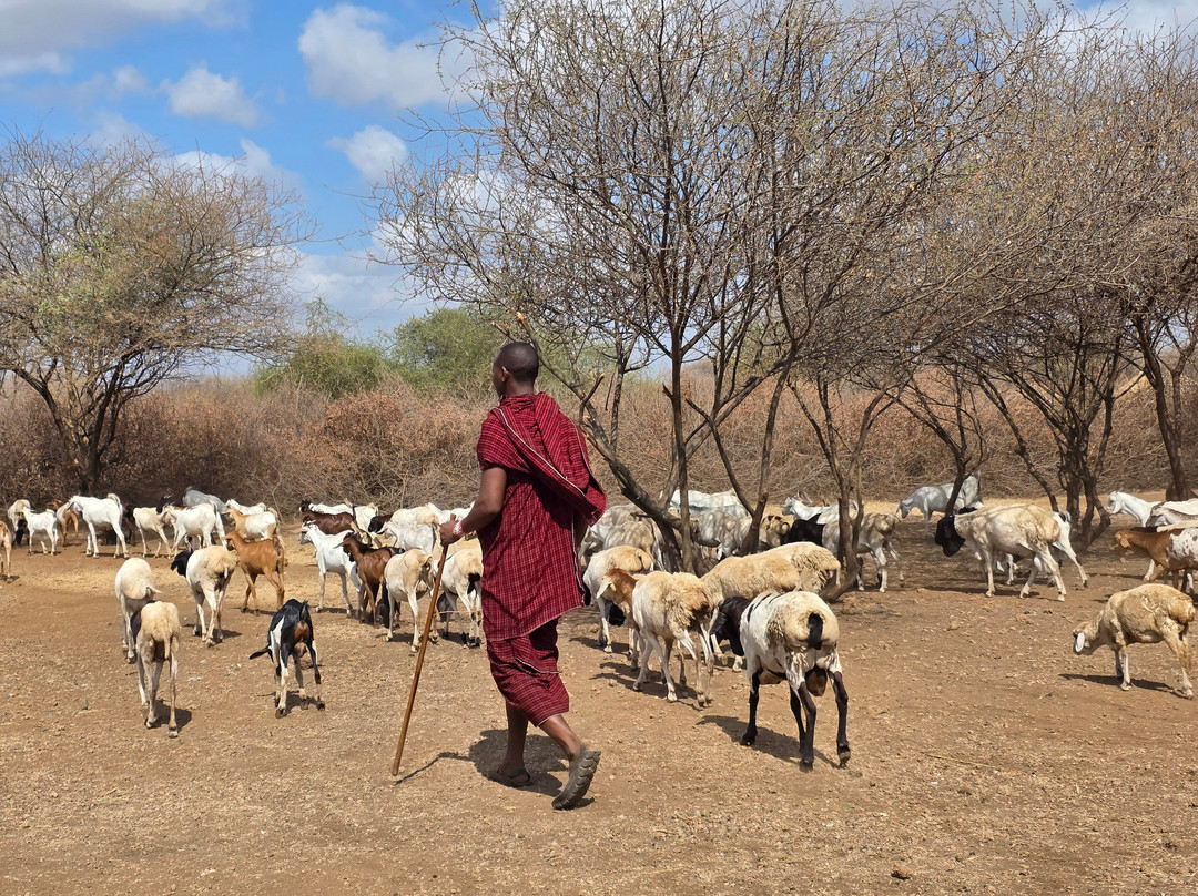 Visit Natives-Kautokeino必去景点