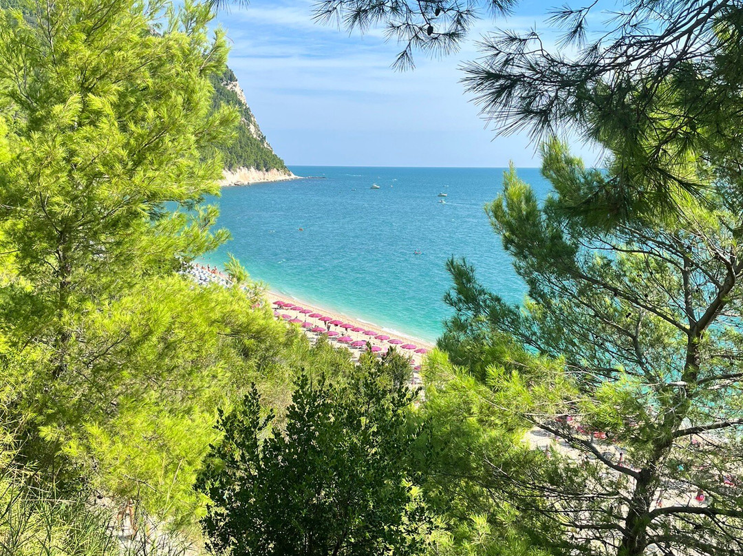 Hotel Il Parco主图