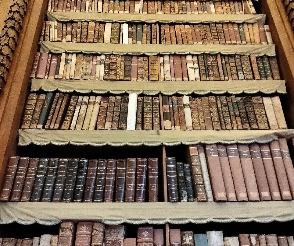 Biblioteca Palatina-帕尔马必去景点