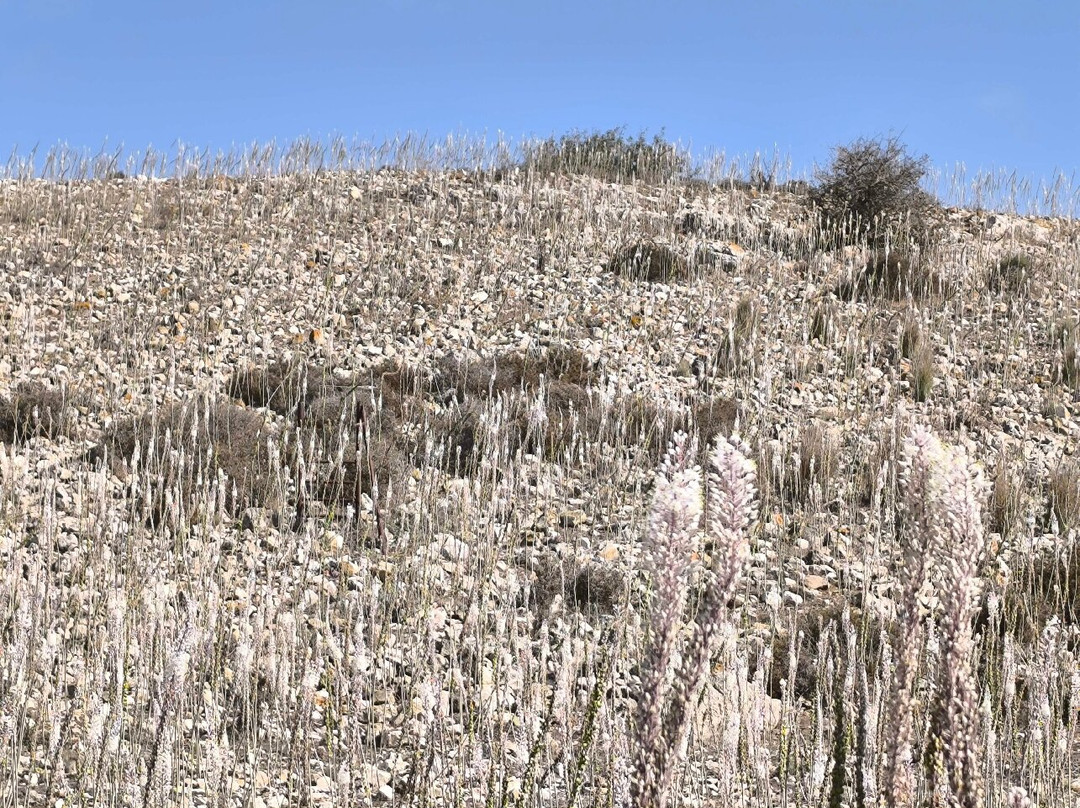 Tel Yodfat-Yodfat必去景点