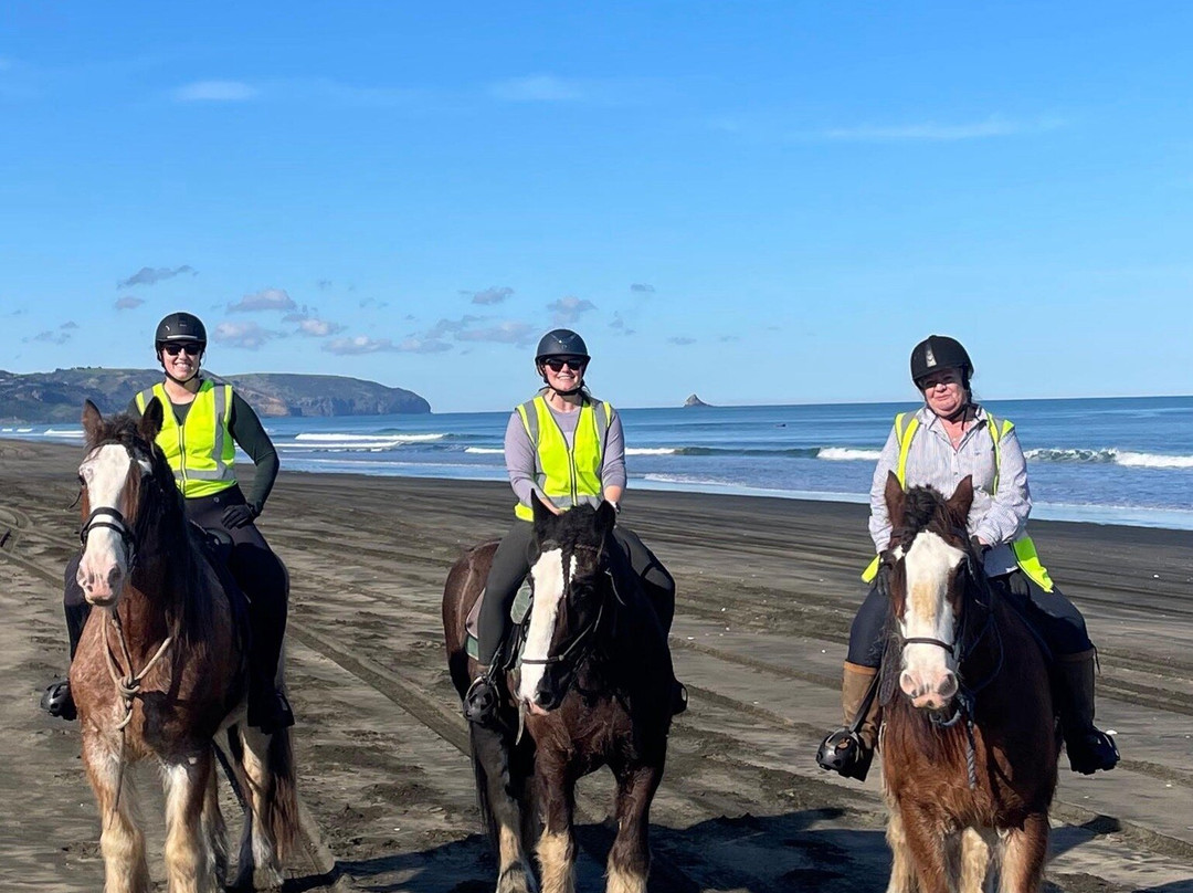 Muriwai Beach Horse Treks-穆里怀海滩必去景点