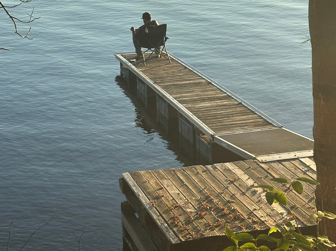 Nelson's Resort主图