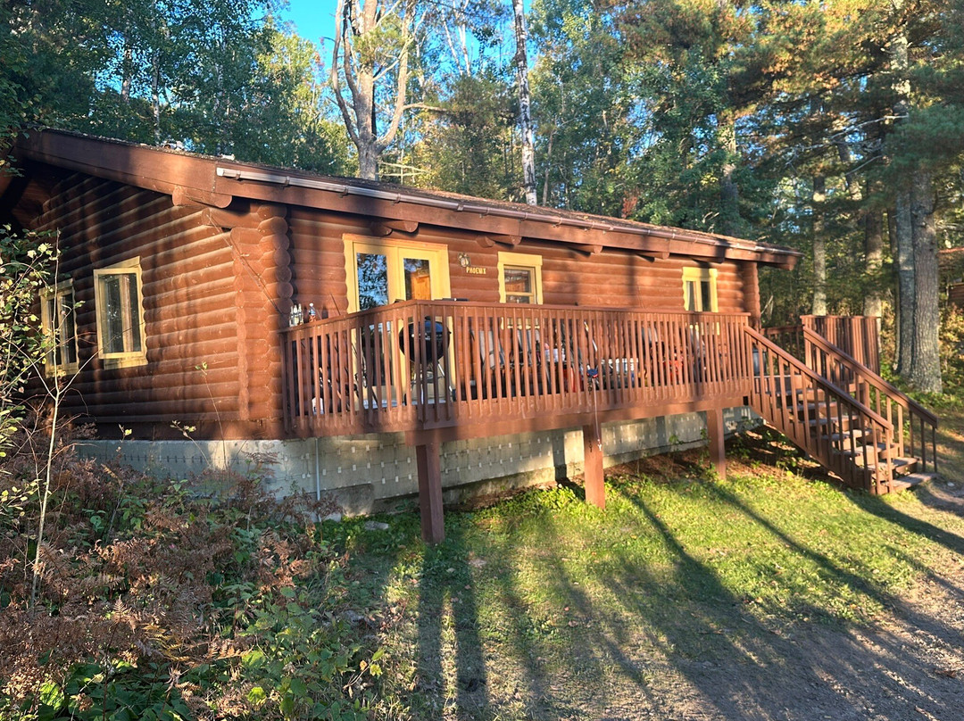 Nelson's Resort主图