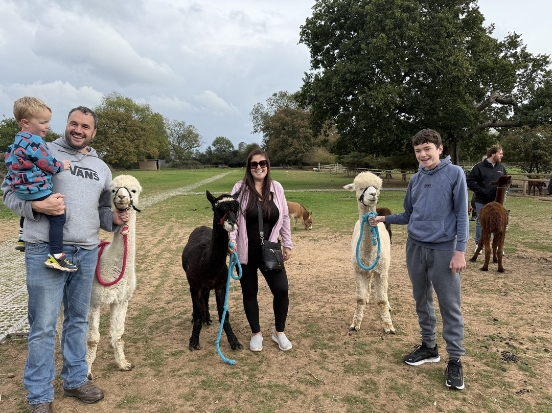 Lucky Tails Alpaca Farm-Atherstone必去景点