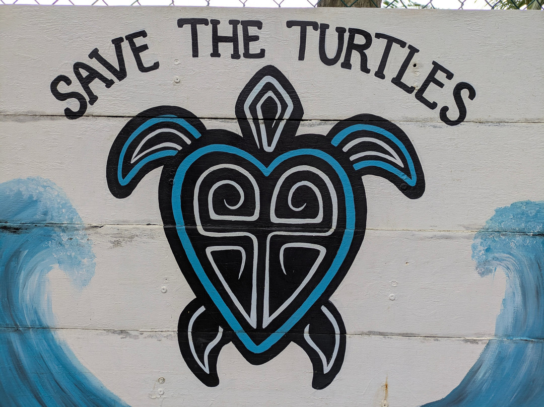 Save The Turtles Playa Venao-维纳欧海滩必去景点