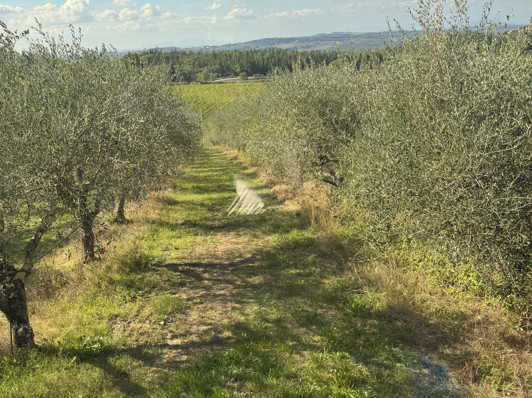 Casa Emma-San Donato in Poggio必去景点