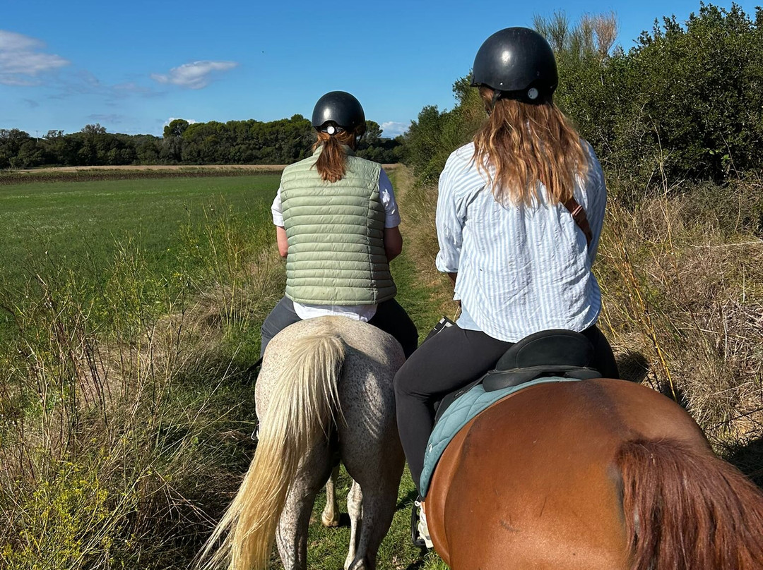 Cal Robusto Turisme Eqüestre-休拉纳必去景点