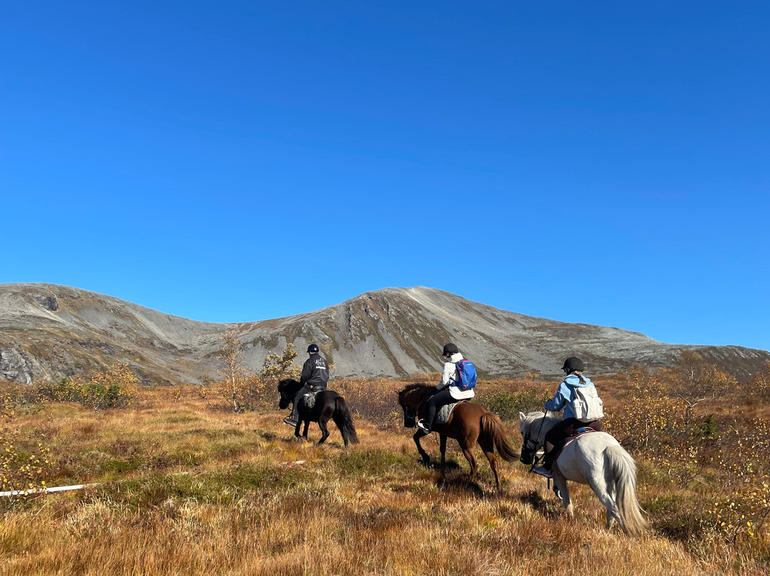 Stall Kjellbotn-Helland必去景点