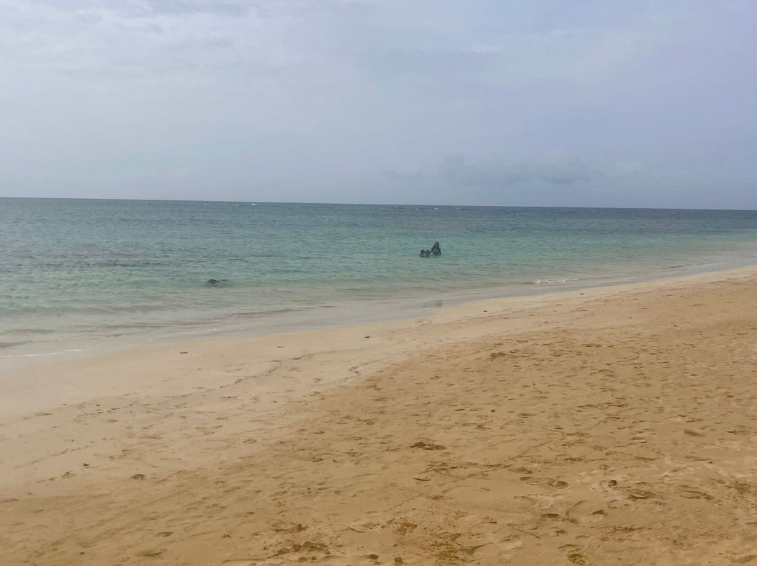 Playa Punta Popy-拉斯特拉纳斯必去景点