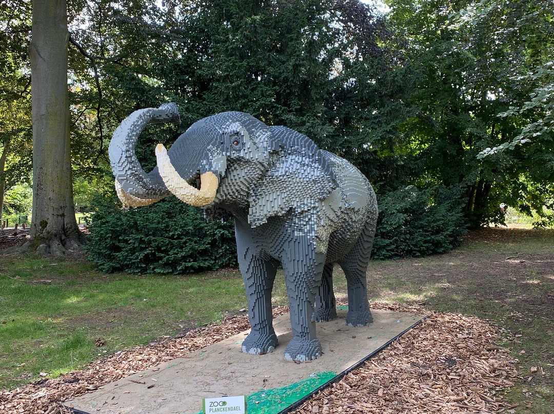 Zoo Planckendael-梅赫伦必去景点