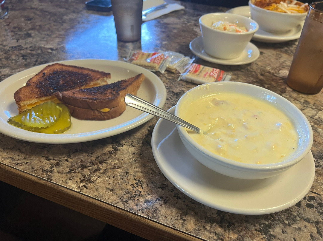 The Night Owl And Back Room