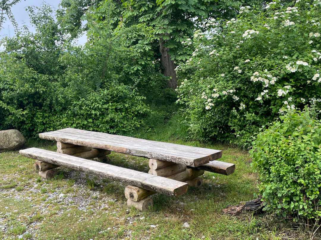 St. Petersinsel-Erlach必去景点