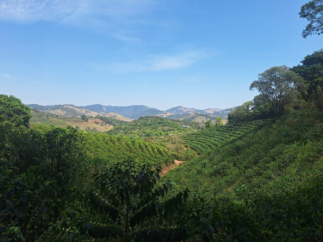Rota do Café Especial-Sao Lourenco必去景点