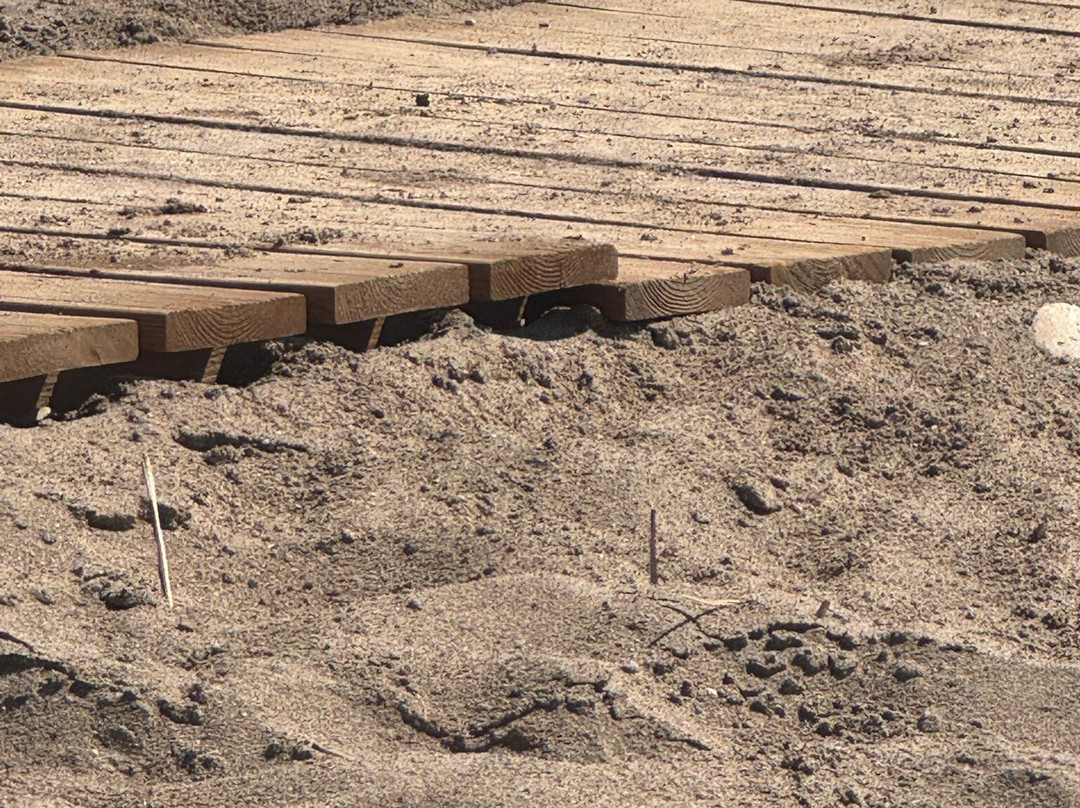 Atlantica Imperial Residences主图