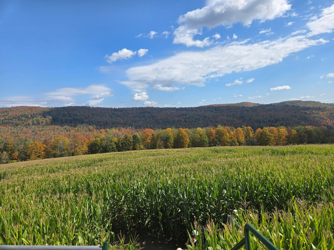 Great Vermont Corn Maze-Danville必去景点