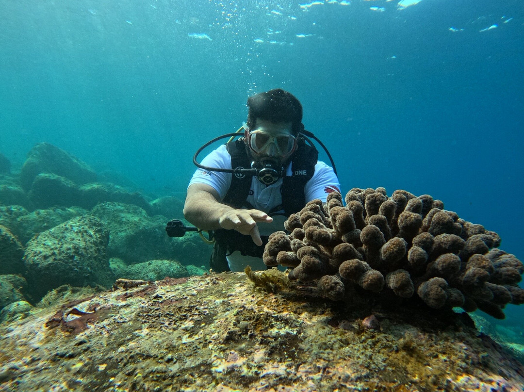 The Reef Adventures, Netrani-Murdeshwar必去景点