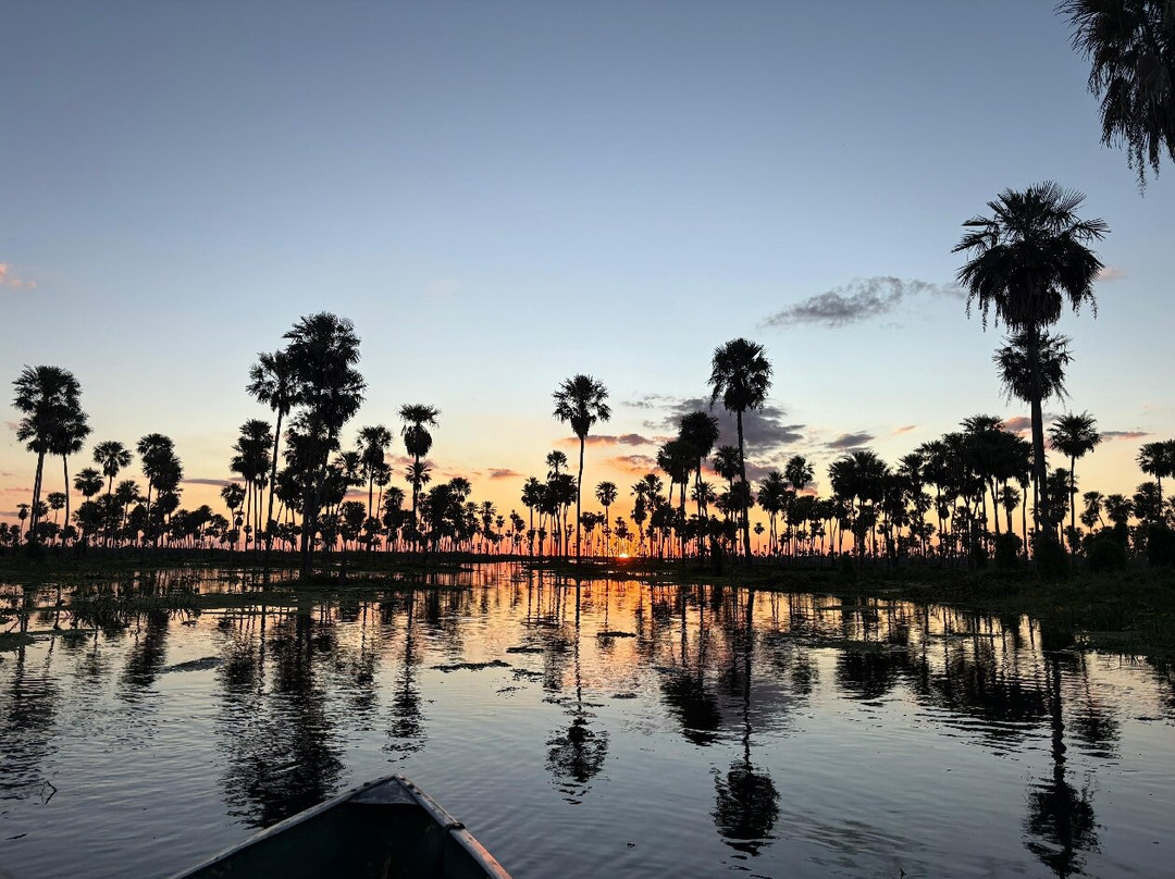 Bañado La Estrella-Las Lomitas必去景点