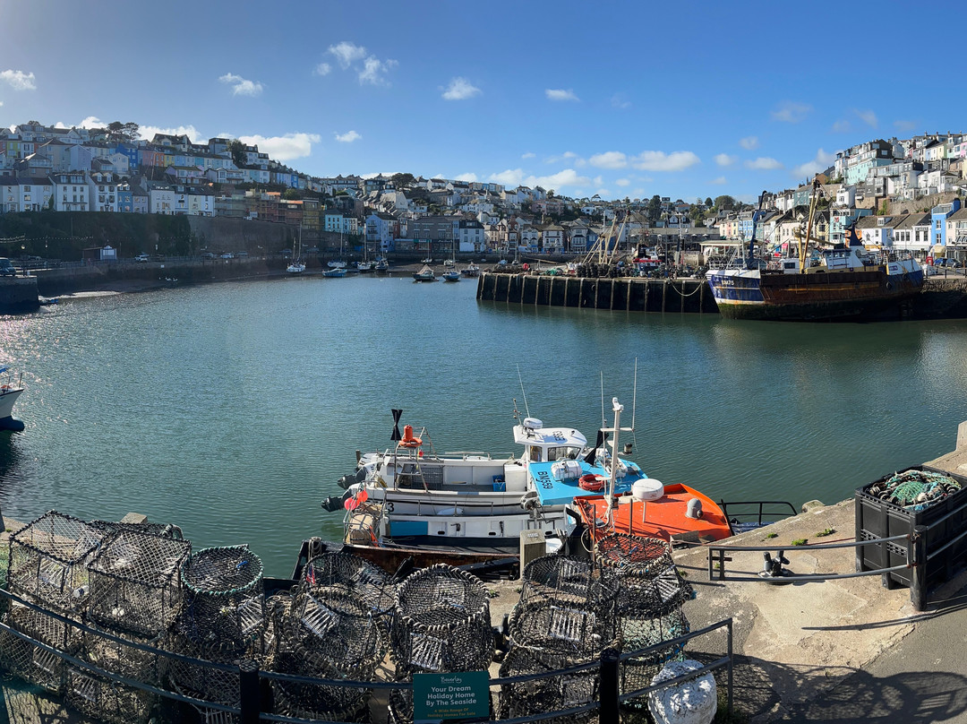 Brixham Harbour-布里克瑟姆必去景点
