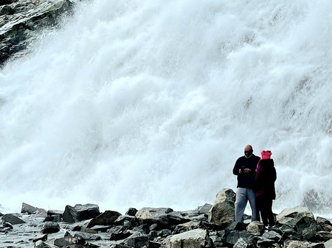 Dolphin Jet Boat Tours-朱诺必去景点