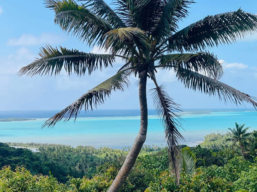 Mount Maungapu-艾图塔基必去景点