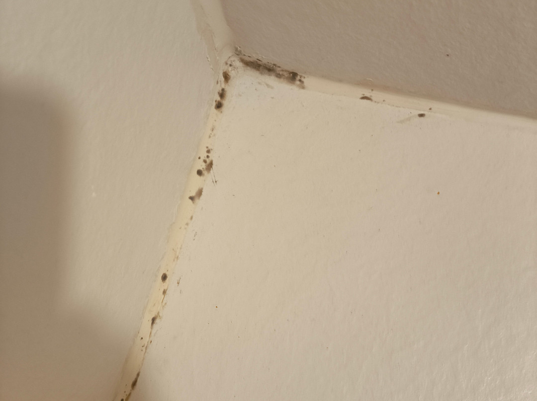 Daniya Alicante主图