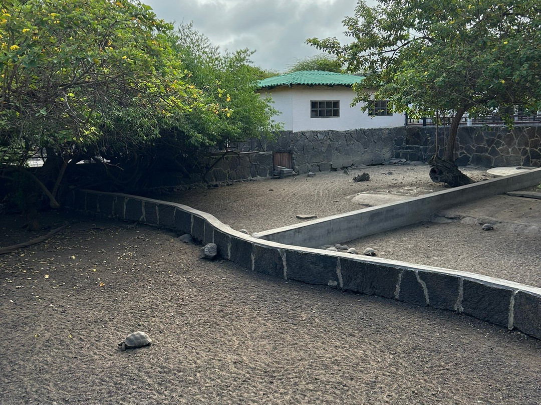 Centro de Crianza Arnaldo Tupiza-维里亚米尔港必去景点