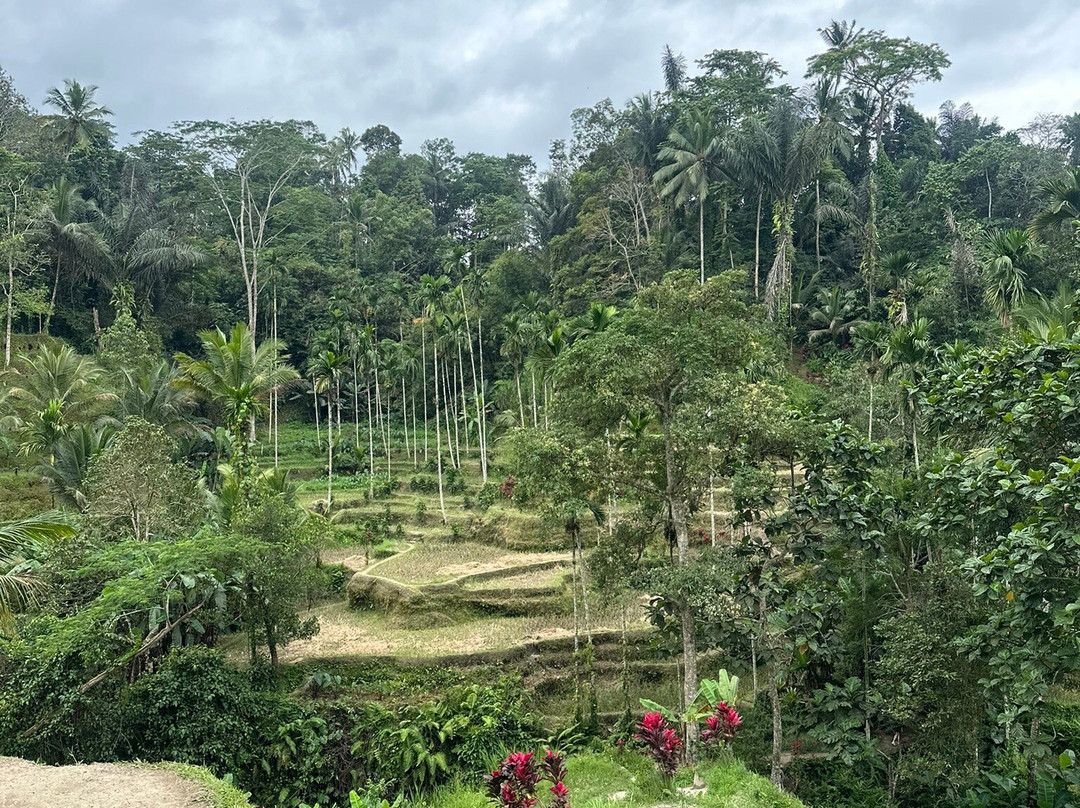 Your Exotic Trip-Central Batur必去景点