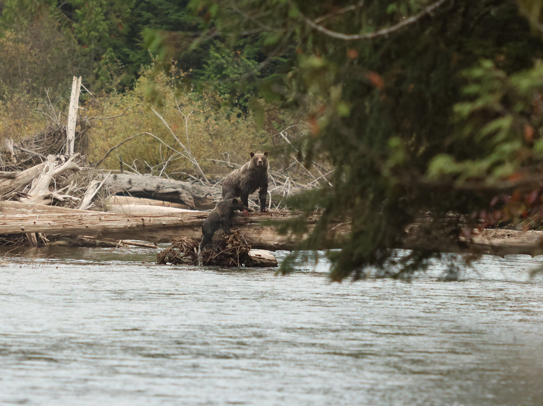 Alpenglow Mountain Escapes-Nakusp必去景点