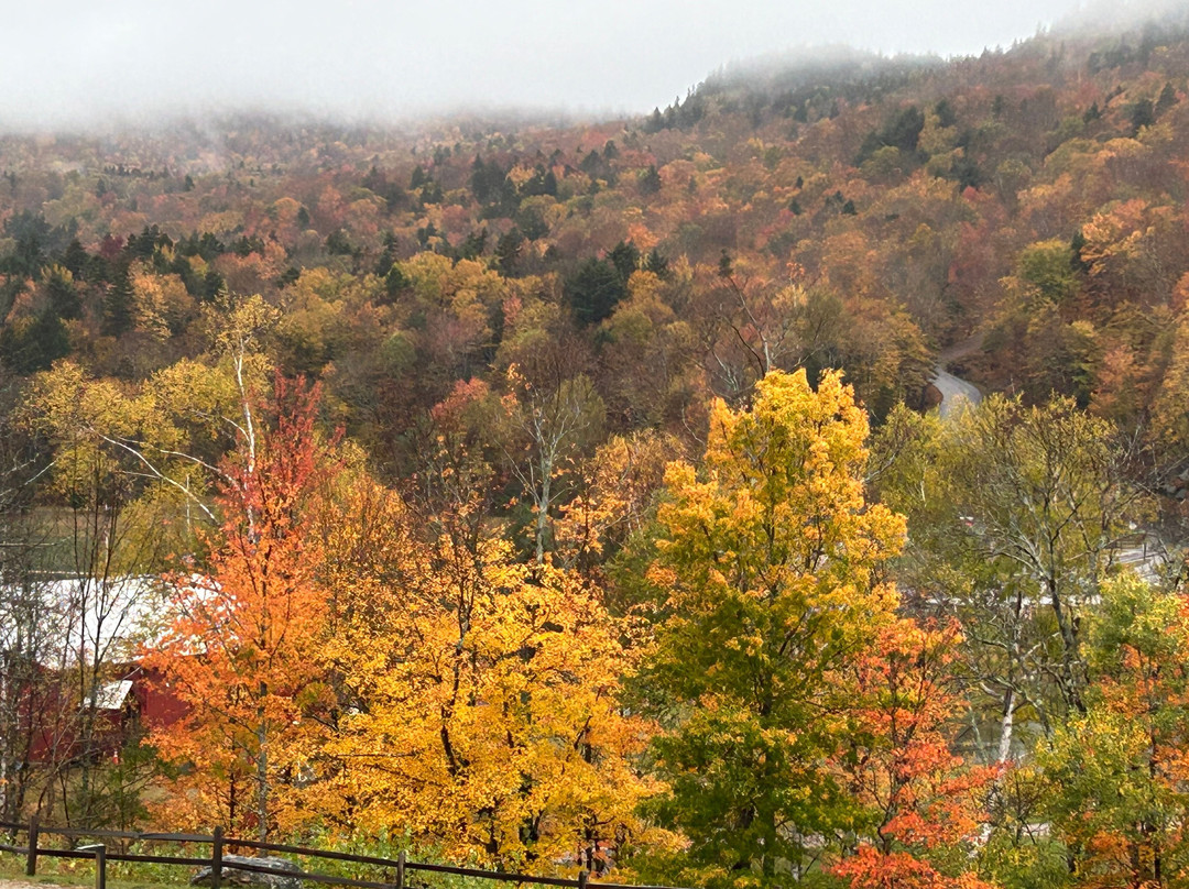 The Glen House主图