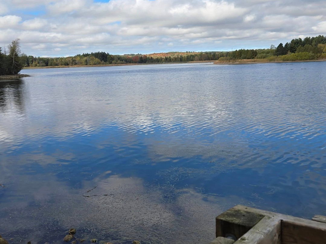 Island Lake Conservation Area-Orangeville必去景点