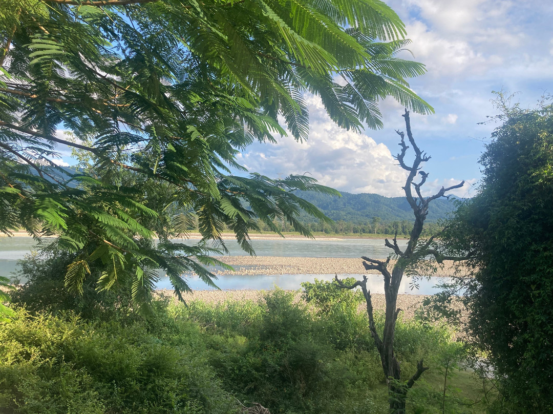 Yan Cure Yoga Retreat & Ayurveda Centre-里希克虚必去景点