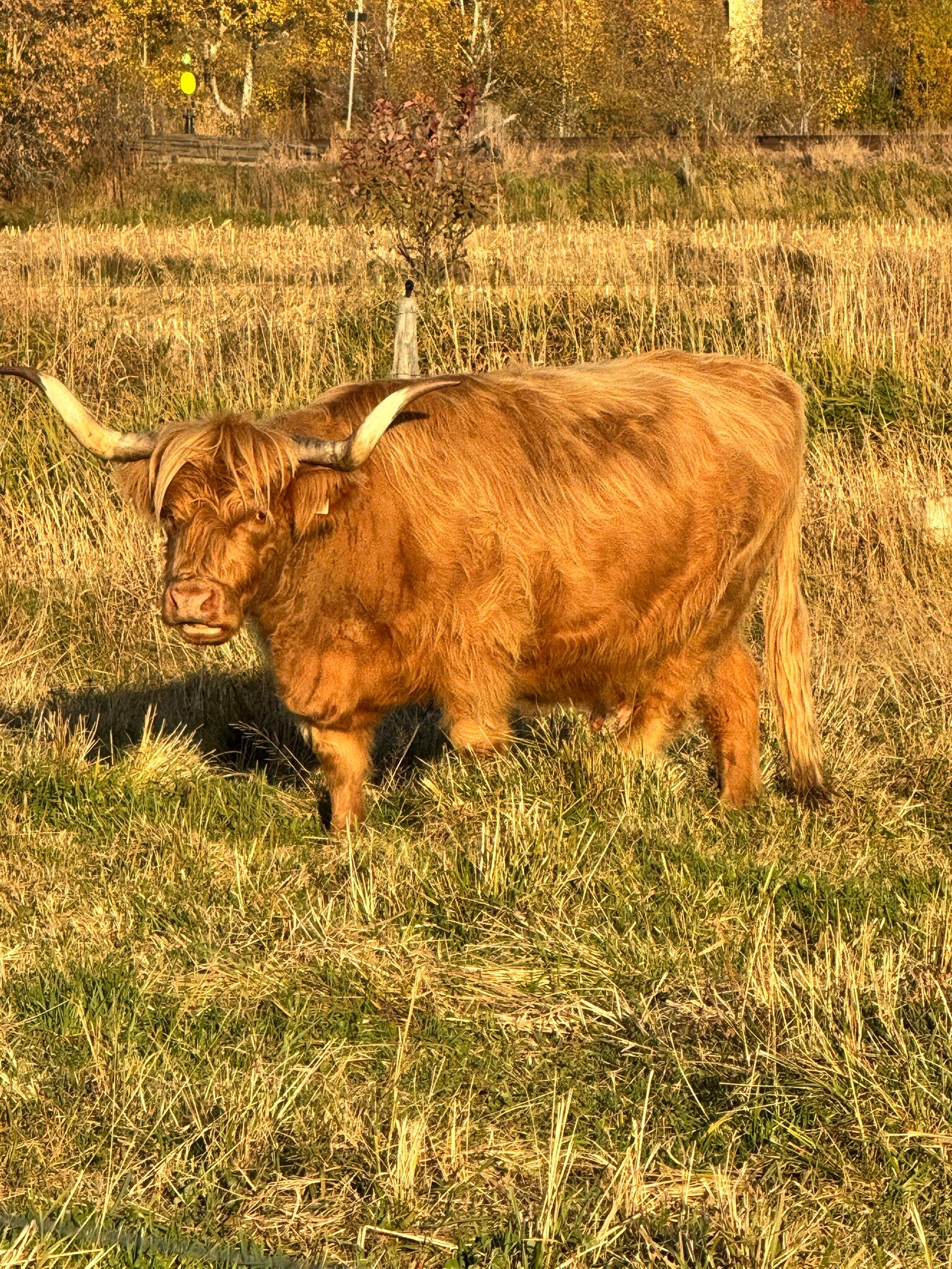 Hôtel & Spa Le Germain Charlevoix-官方