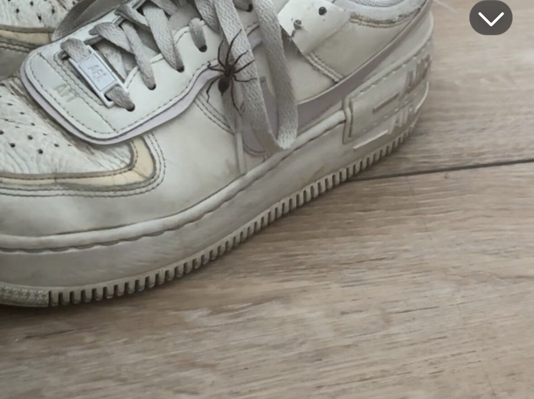 Quality Inn Colchester Burlington主图