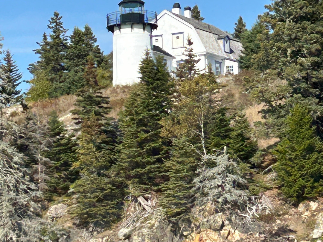 Acadian Boat Tours-巴港必去景点