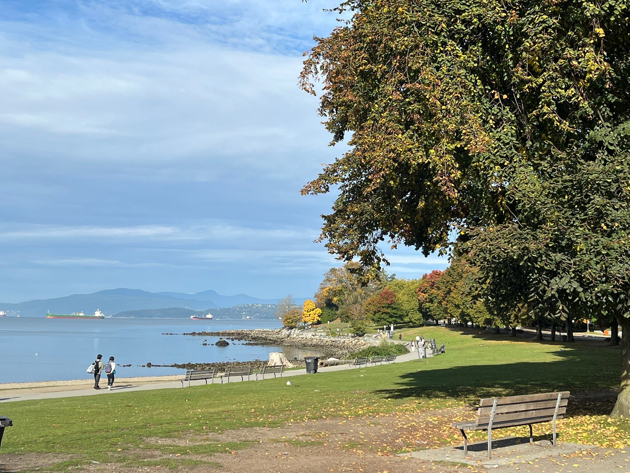 温哥华布鲁酒店-官方