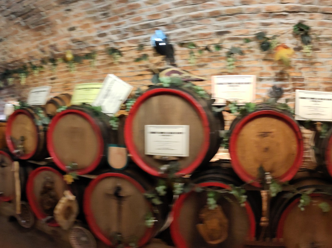 Pivnita lui Teo - Teo's Cellar-锡吉索拉必去景点