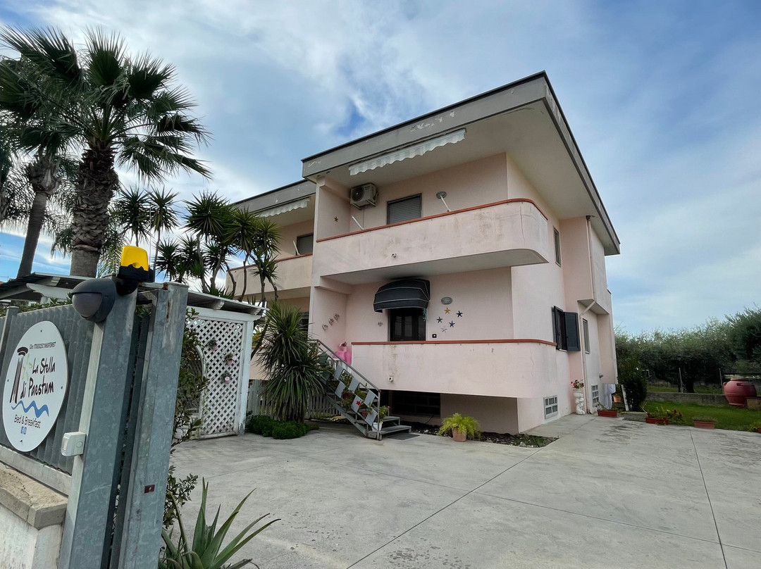 La Stella di Paestum主图