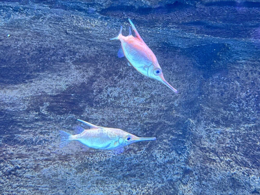 CRETAquarium-Gournes必去景点