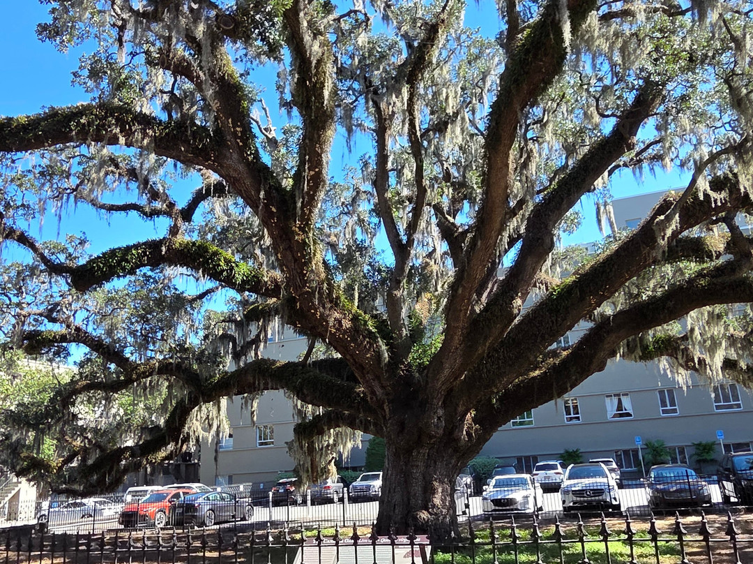 Wilderness Voyageurs-Ohiopyle必去景点