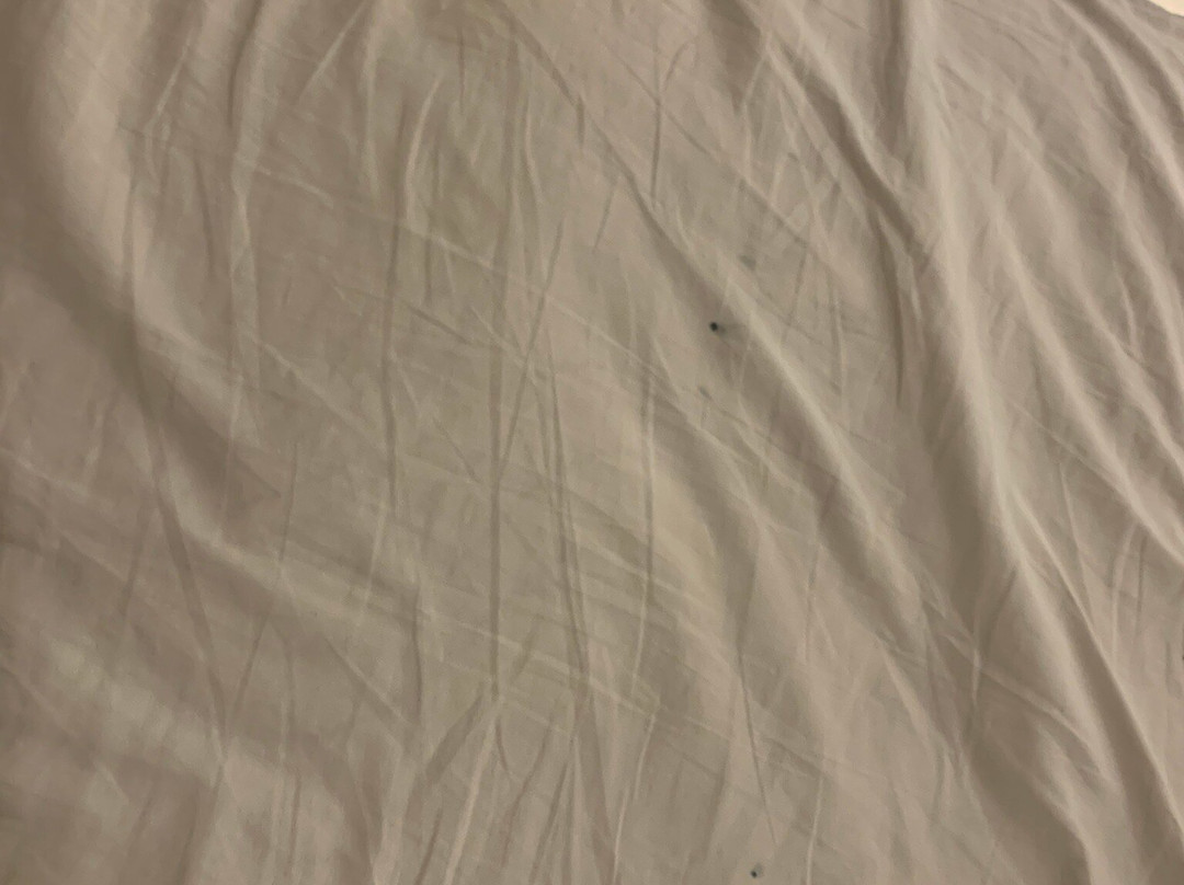 Hotel Starlight Ne主图