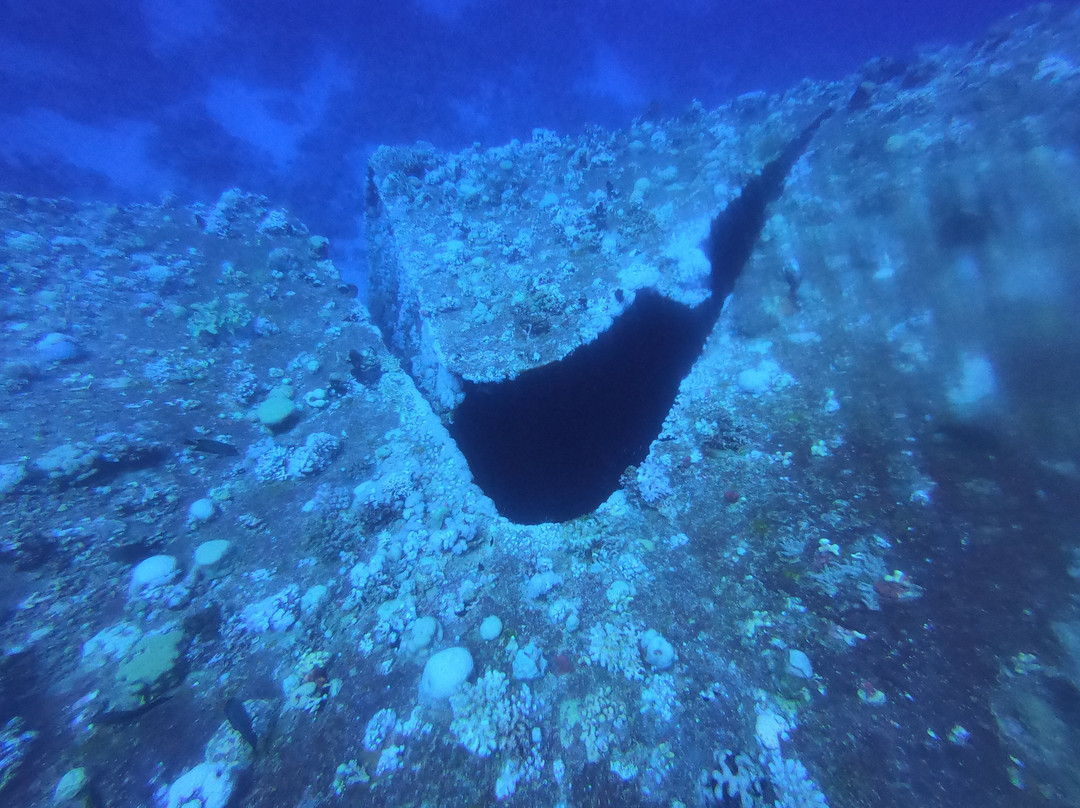 Scuba World Divers Soma Bay-艾尔可西利亚必去景点