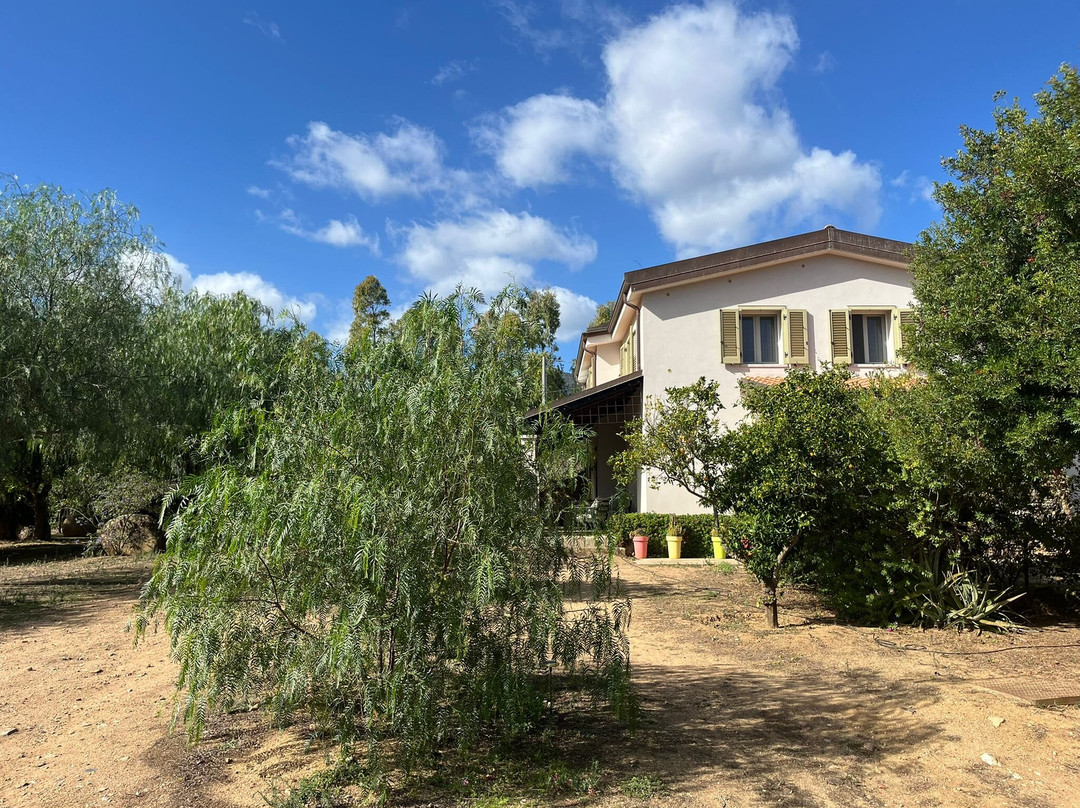 B&B Rossofiore主图