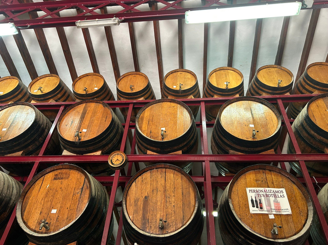 Vina Elena-Jumilla必去景点