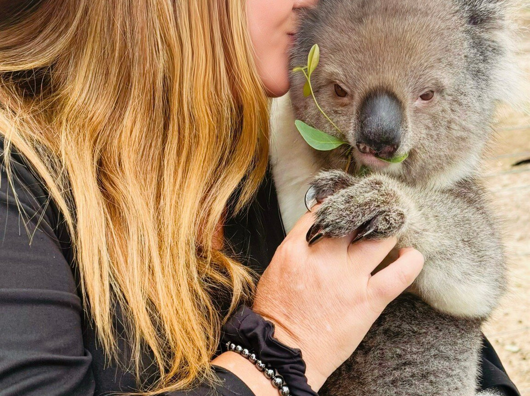 Kangaroo Island Wildlife Park-塞登必去景点