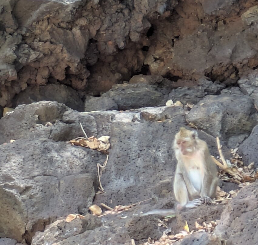 Robin De Mer-卓得多斯必去景点